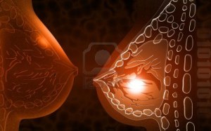 Digital Illustration of the Breast Cells
